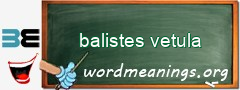 WordMeaning blackboard for balistes vetula